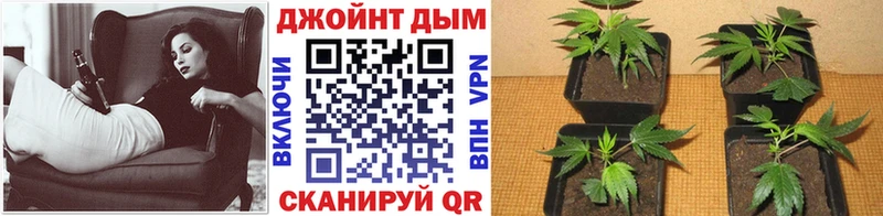 Канабис марихуана  наркота  Владивосток 